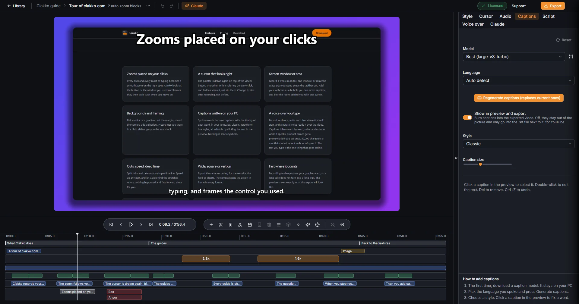 The Captions tab, with captions on the preview
